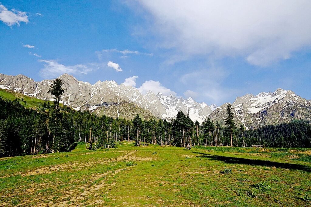 Tantric Buddhism and the Himalayan World: Cultural Exchanges and Religious Transformation Alpine plains of the Swat Valley in northern Pakistan, part of the Hindu Kush region historically linked to ancient Uḍḍiyāna and the emergence of Tantric Buddhism.
